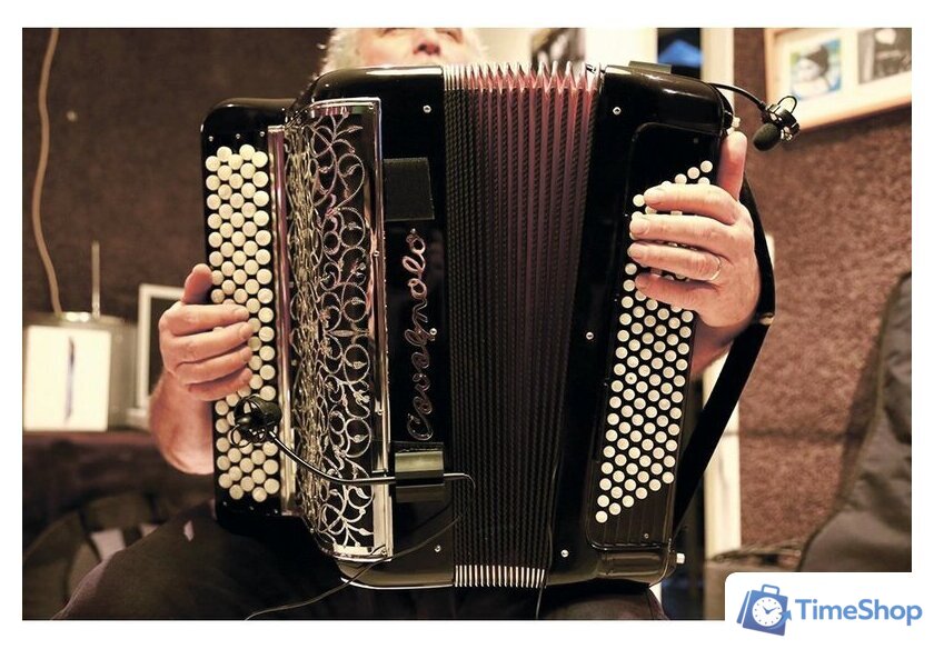 Комплект проводных микрофонов Prodipe AL21 Romanelli Accordion - Изображение №4 — Интернет-магазин Time-Shop