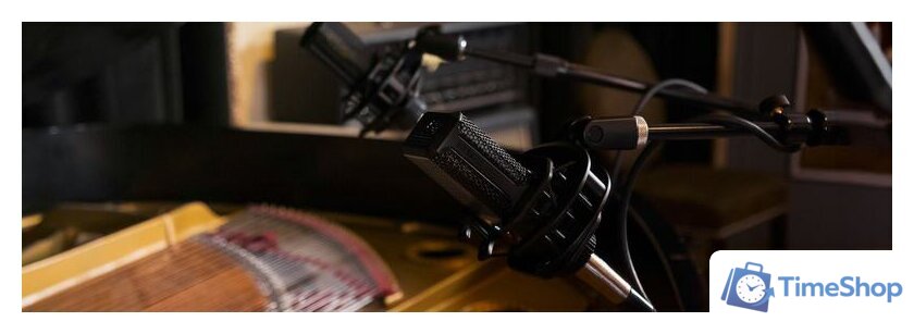 Проводной микрофон Lewitt LCT 441 Flex - Изображение №9 — Интернет-магазин Time-Shop