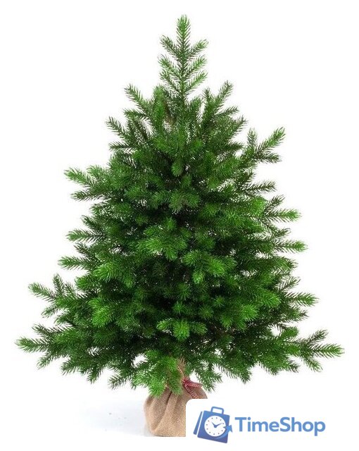 Ель National Tree Company Грация Премиум ГР/ПР-90 90 см - Изображение №1 — Интернет-магазин Time-Shop