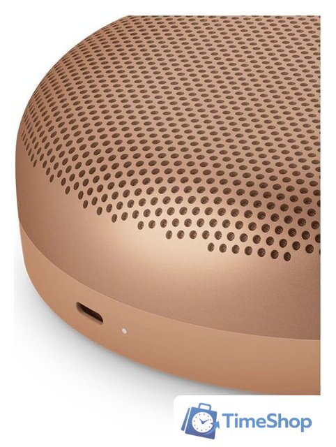 Беспроводная колонка Bang & Olufsen Beosound A1 3nd Gen (honey tone) - Изображение №6 — Интернет-магазин Time-Shop