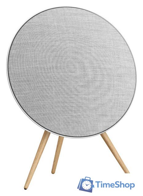 Напольная акустика Bang & Olufsen BeoSound A9 Natural Aluminium (5-ое поколение) - Изображение №1 — Интернет-магазин Time-Shop