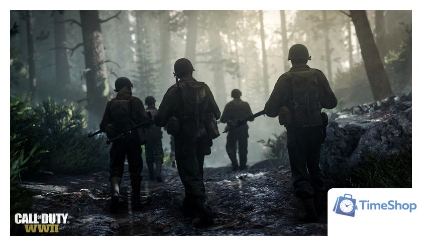  Call of Duty: WWII (без русской озвучки) для PlayStation 4 - Изображение №3 — Интернет-магазин Time-Shop