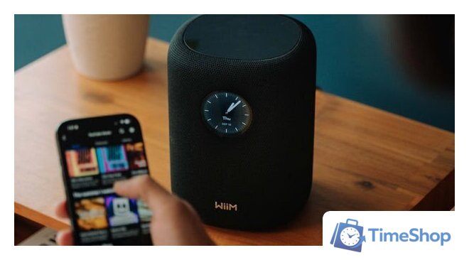 Беспроводная аудиосистема WiiM Sound (черный) - Изображение №8 — Интернет-магазин Time-Shop