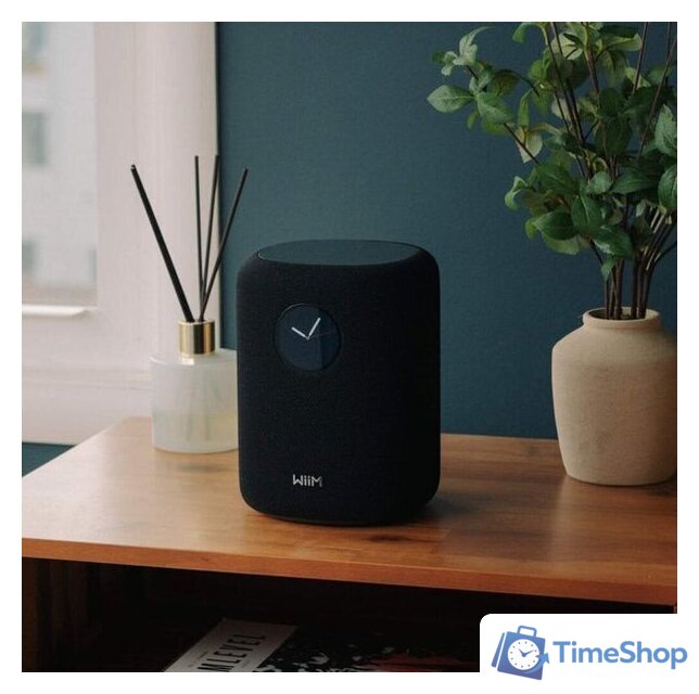 Беспроводная аудиосистема WiiM Sound (черный) - Изображение №6 — Интернет-магазин Time-Shop