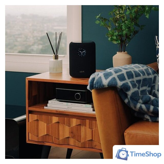 Беспроводная аудиосистема WiiM Sound (черный) - Изображение №7 — Интернет-магазин Time-Shop