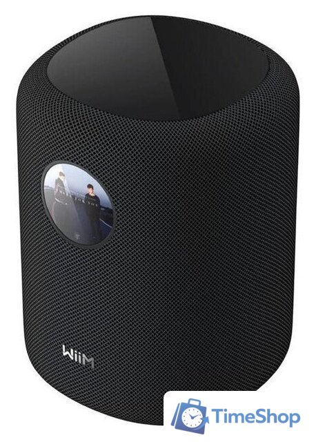 Беспроводная аудиосистема WiiM Sound (черный) - Изображение №1 — Интернет-магазин Time-Shop