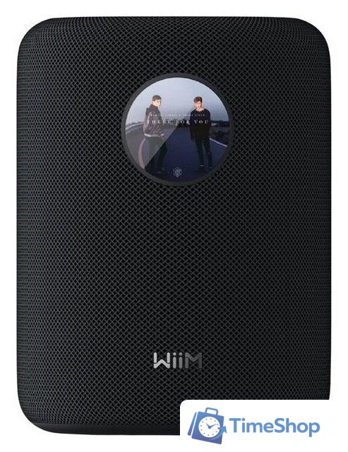Беспроводная аудиосистема WiiM Sound (черный) - Изображение №2 — Интернет-магазин Time-Shop