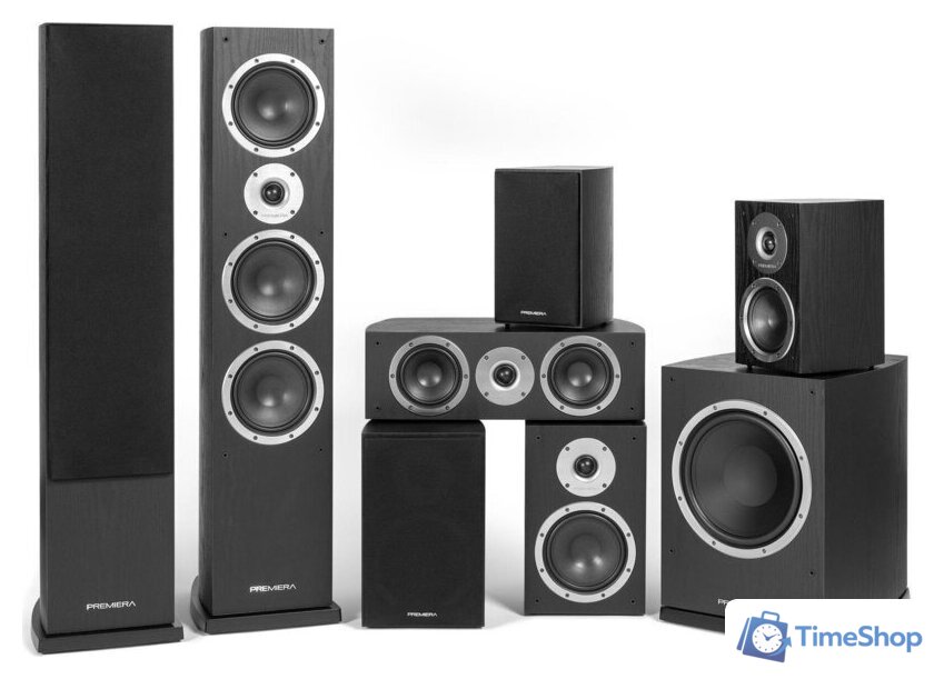 Полочная акустика Premiera DS-521C (черный) - Изображение №6 — Интернет-магазин Time-Shop