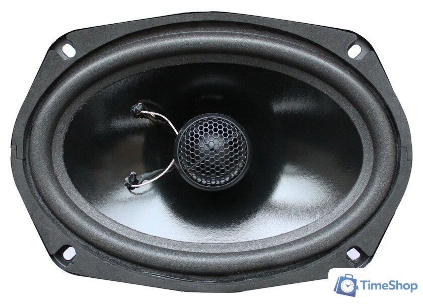 Коаксиальная АС Best Balance F69 - Изображение №1 — Интернет-магазин Time-Shop