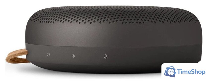 Беспроводная колонка Bang & Olufsen Beosound A1 3rd Gen (warm granite) - Изображение №2 — Интернет-магазин Time-Shop