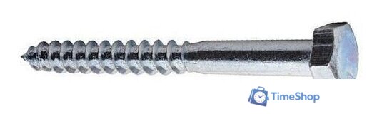  Starfix Шестигранный 6х70 DIN 571 SMV1-59741-5 (5кг, оцинкованный) - Изображение №1 — Интернет-магазин Time-Shop