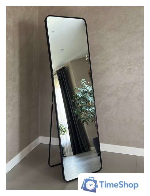 Зеркало EMZE Закругленные углы 45х150 DK0919.CHE (черный) - Изображение №1 — Интернет-магазин Time-Shop