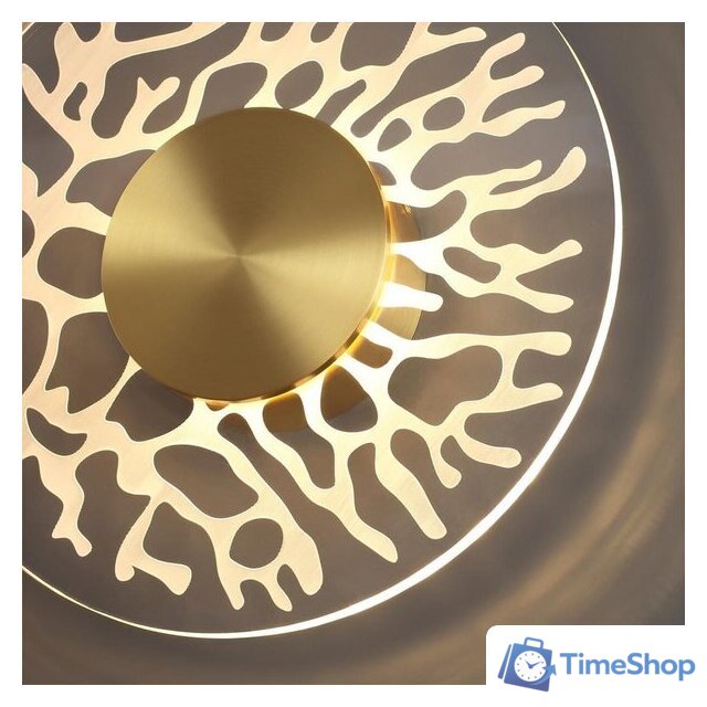 Бра Odeon Light Solaris 6627/9WL - Изображение №4 — Интернет-магазин Time-Shop