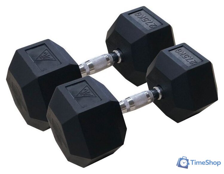 Набор гантелей DFC DB001-27.5 2x27.5 кг - Изображение №1 — Интернет-магазин Time-Shop