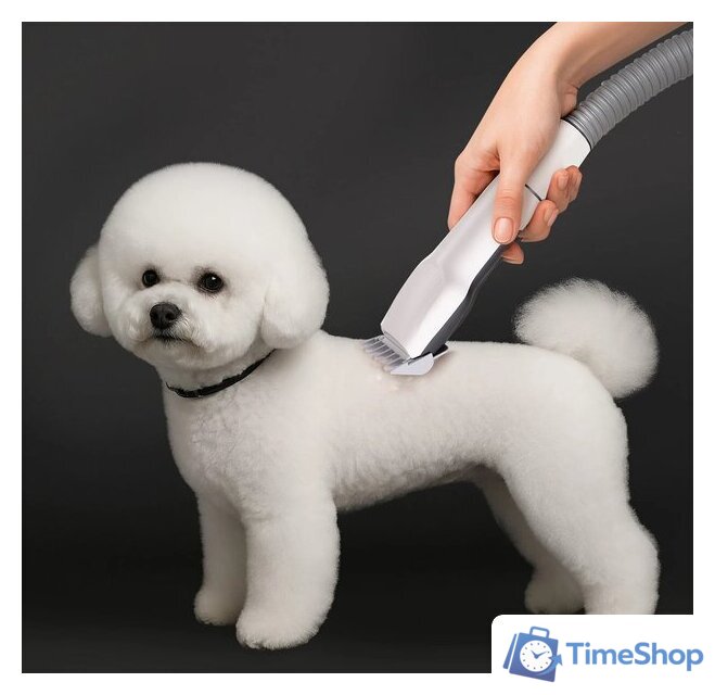 Пылесос RED Solution Pet Line VG3040 - Изображение №13 — Интернет-магазин Time-Shop