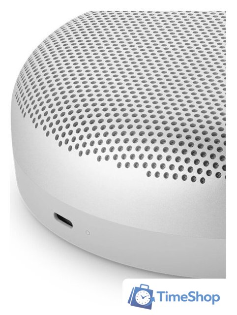 Беспроводная колонка Bang & Olufsen Beosound A1 3nd Gen (natural aluminium) - Изображение №6 — Интернет-магазин Time-Shop