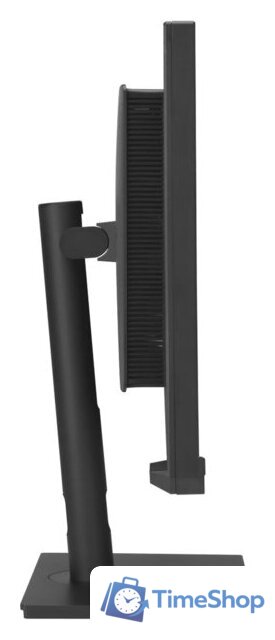 Монитор ASUS ProArt PA32UCXR - Изображение №10 — Интернет-магазин Time-Shop