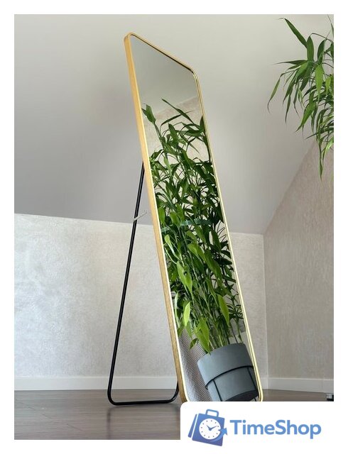 Зеркало EMZE Закругленные углы 45х150 DK0919.AUR (золото) - Изображение №7 — Интернет-магазин Time-Shop