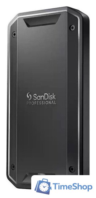 Внешний накопитель SanDisk PRO-G40 1TB SDPS31H-001T-GBCND - Изображение №1 — Интернет-магазин Time-Shop