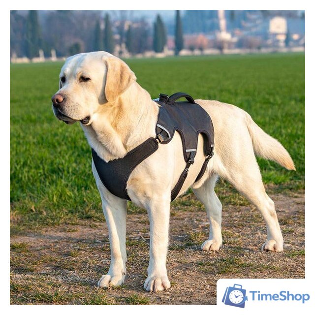 Шлея Ferplast Ergotrekking XL 75467152 (XL, черный) - Изображение №6 — Интернет-магазин Time-Shop