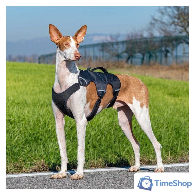 Шлея Ferplast Ergotrekking XL 75467152 (XL, черный) - Изображение №7 — Интернет-магазин Time-Shop