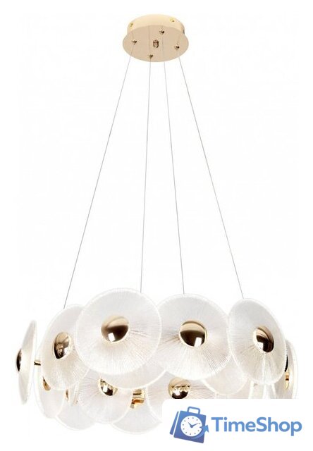  Rivoli Helena 6134-101 Б0061977 - Изображение №1 — Интернет-магазин Time-Shop