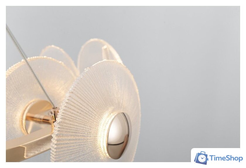  Rivoli Helena 6134-101 Б0061977 - Изображение №5 — Интернет-магазин Time-Shop