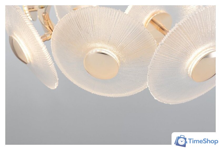  Rivoli Helena 6134-101 Б0061977 - Изображение №2 — Интернет-магазин Time-Shop