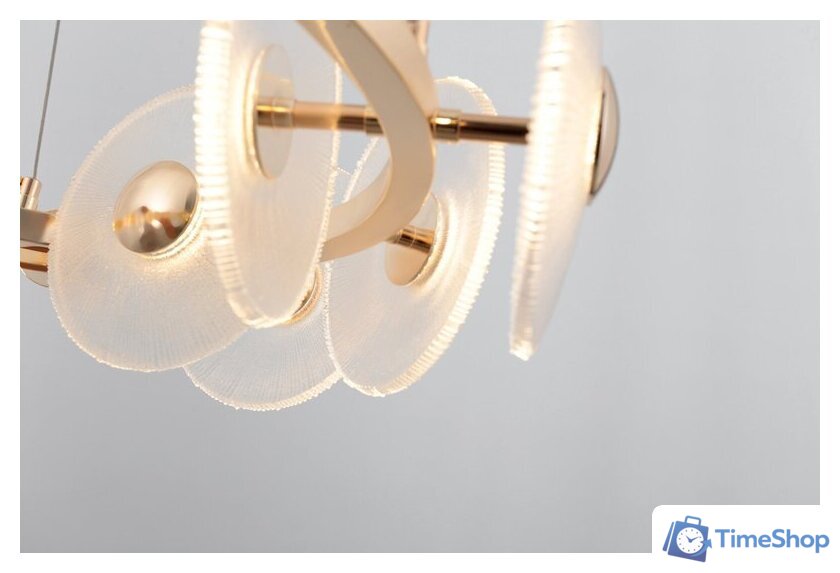  Rivoli Helena 6134-101 Б0061977 - Изображение №6 — Интернет-магазин Time-Shop