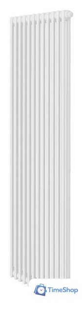 Стальной трубчатый радиатор Royal Thermo Insignia VC2180 - 12 секций RAL9016 - Изображение №1 — Интернет-магазин Time-Shop
