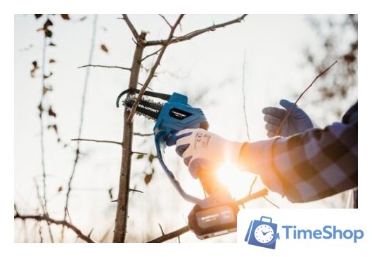 Аккумуляторная пила Blaupunkt CS2010 (без АКБ) - Изображение №2 — Интернет-магазин Time-Shop