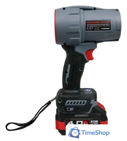  Profipower ProfiSet-2D20 (воздуходувка, цепная пила, 2 АКБ) - Изображение №13 — Интернет-магазин Time-Shop