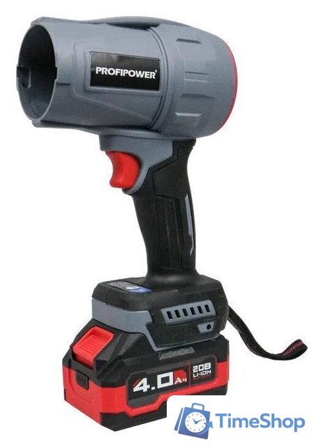  Profipower ProfiSet-2D20 (воздуходувка, цепная пила, 2 АКБ) - Изображение №11 — Интернет-магазин Time-Shop