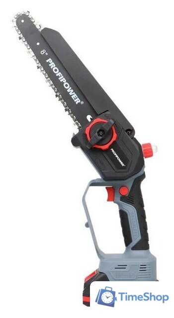  Profipower ProfiSet-2D20 (воздуходувка, цепная пила, 2 АКБ) - Изображение №23 — Интернет-магазин Time-Shop
