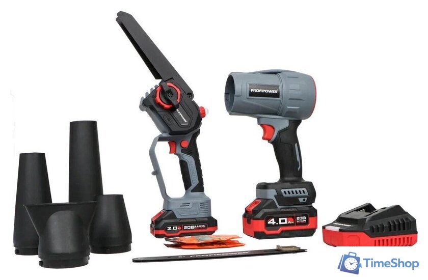  Profipower ProfiSet-2D20 (воздуходувка, цепная пила, 2 АКБ) - Изображение №1 — Интернет-магазин Time-Shop