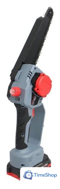  Profipower ProfiSet-2D20 (воздуходувка, цепная пила, 2 АКБ) - Изображение №30 — Интернет-магазин Time-Shop