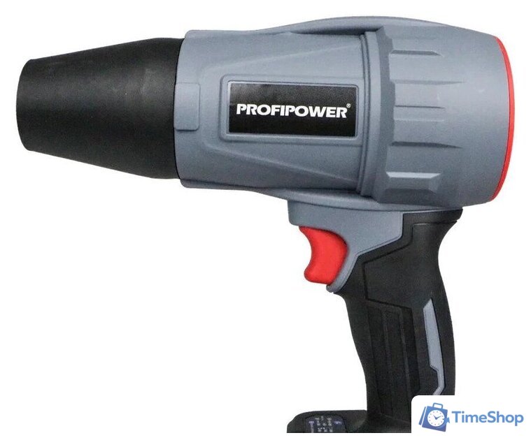  Profipower ProfiSet-2D20 (воздуходувка, цепная пила, 2 АКБ) - Изображение №17 — Интернет-магазин Time-Shop