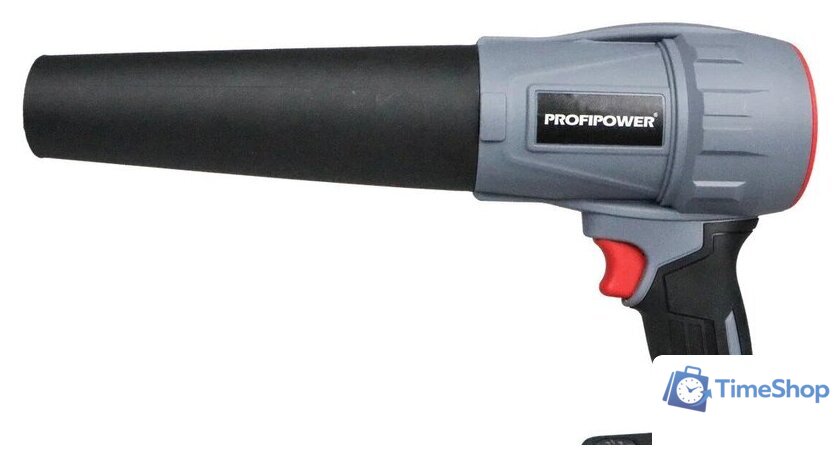  Profipower ProfiSet-2D20 (воздуходувка, цепная пила, 2 АКБ) - Изображение №19 — Интернет-магазин Time-Shop