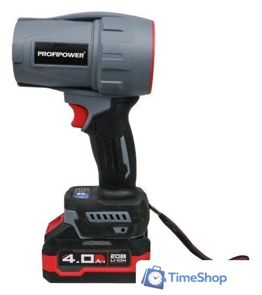  Profipower ProfiSet-2D20 (воздуходувка, цепная пила, 2 АКБ) - Изображение №10 — Интернет-магазин Time-Shop