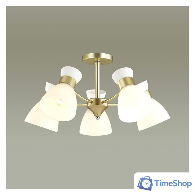 Люстра средней высоты Lumion Wilma 4535/5C - Изображение №3 — Интернет-магазин Time-Shop