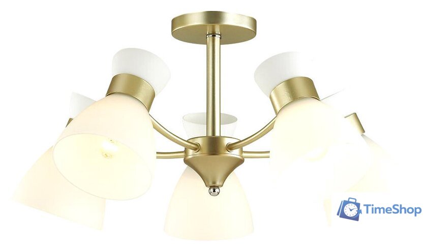 Люстра средней высоты Lumion Wilma 4535/5C - Изображение №1 — Интернет-магазин Time-Shop