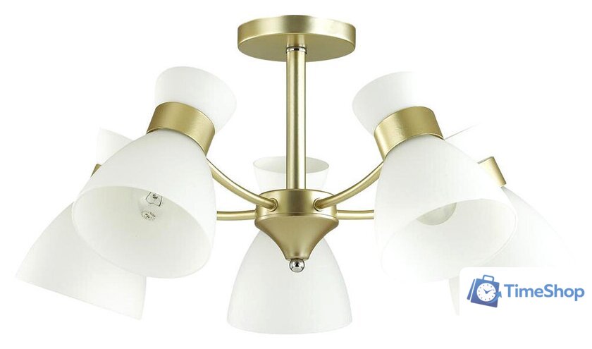 Люстра средней высоты Lumion Wilma 4535/5C - Изображение №2 — Интернет-магазин Time-Shop