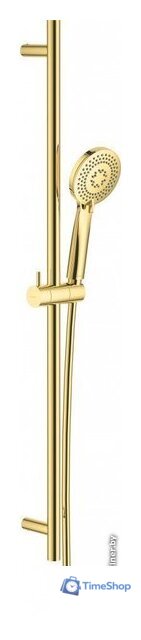 Душевой гарнитур  Deante Arnika Gold NQA Z51K - Изображение №1 — Интернет-магазин Time-Shop