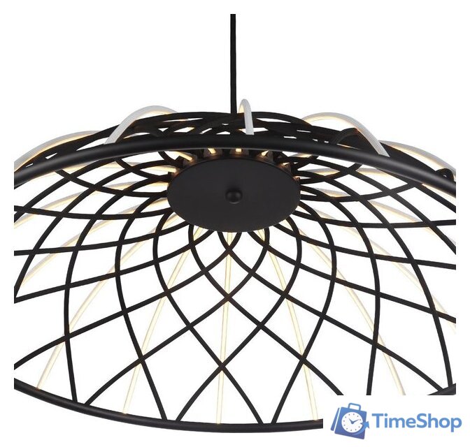 Подвесная люстра ST Luce SL6016.403.01 - Изображение №4 — Интернет-магазин Time-Shop