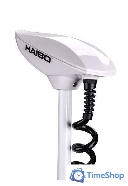 Лодочный мотор Haibo iPenguin P65 12V Pro - Изображение №4 — Интернет-магазин Time-Shop