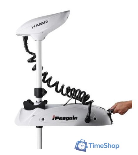 Лодочный мотор Haibo iPenguin P65 12V Pro - Изображение №3 — Интернет-магазин Time-Shop