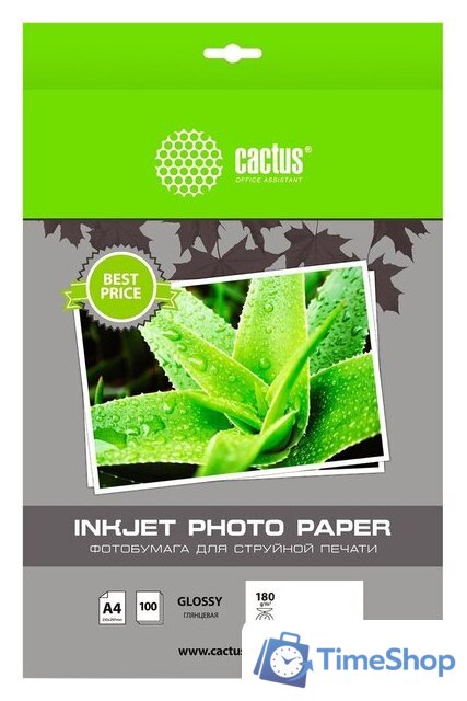 Фотобумага CACTUS Глянцевая A4 180 г/м2 100 листов CS-GA4180100ED - Изображение №1 — Интернет-магазин Time-Shop