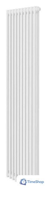 Стальной трубчатый радиатор Royal Thermo Insignia VC2180 - 10 секций RAL9016 - Изображение №1 — Интернет-магазин Time-Shop