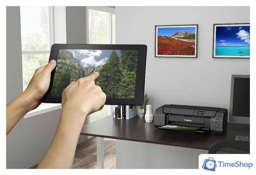 Принтер Canon PIXMA PRO-200 - Изображение №12 — Интернет-магазин Time-Shop