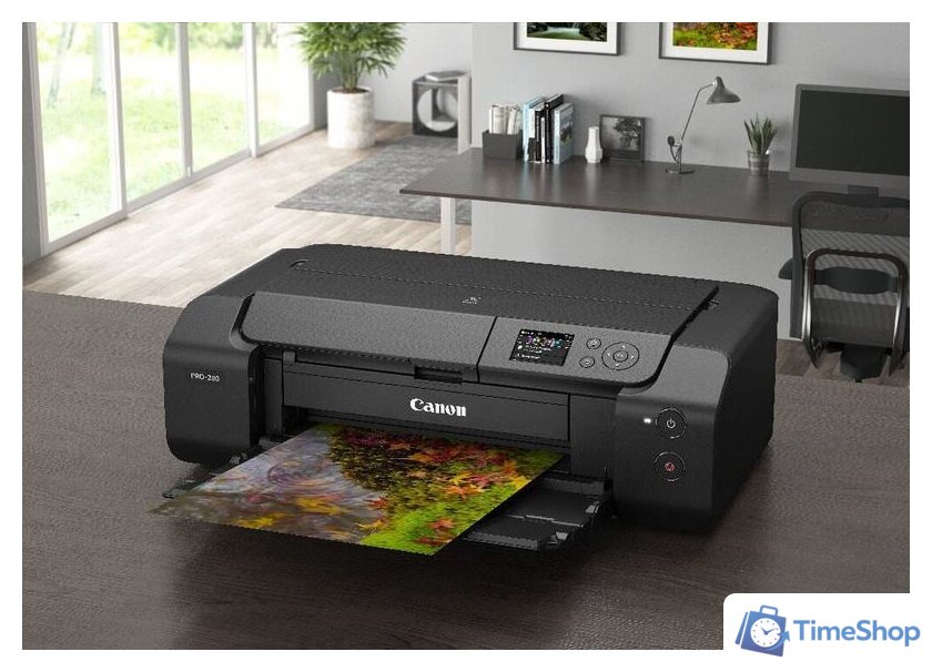 Принтер Canon PIXMA PRO-200 - Изображение №11 — Интернет-магазин Time-Shop